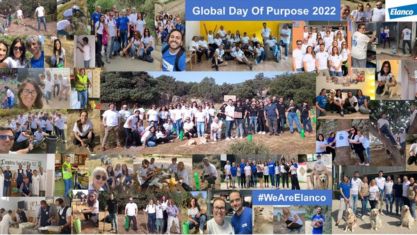 Os empregados de Elanco participan en iniciativas solidarias polo Día do Voluntariado