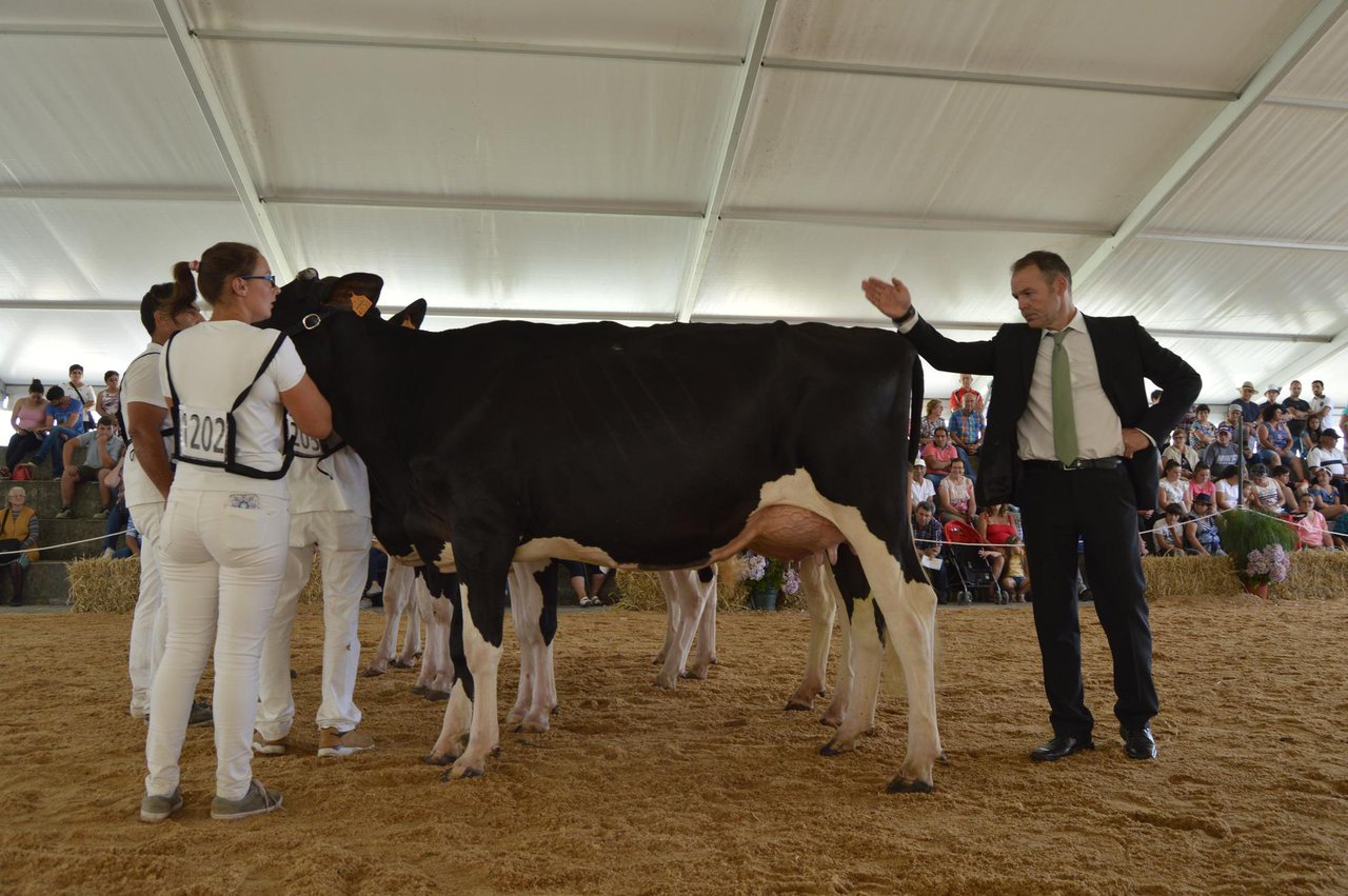 Francisco Javier Freije, juez del XXXIX Concurso de Ganado Frisón de la Moexmu