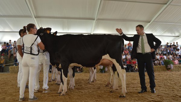 Francisco Javier Freije, juez del XXXIX Concurso de Ganado Frisón de la Moexmu