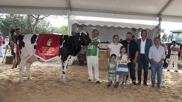 Expander 6818, de Gurgo e Filhos, gaña o certame frisón de Murtosa