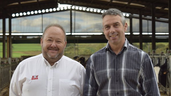 Unha alimentación de campionato para unhas vacas de concurso