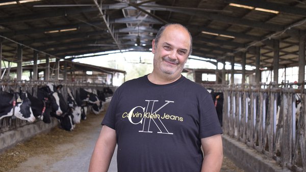 Unha década de experiencia na alimentación de vacas con muxido robotizado