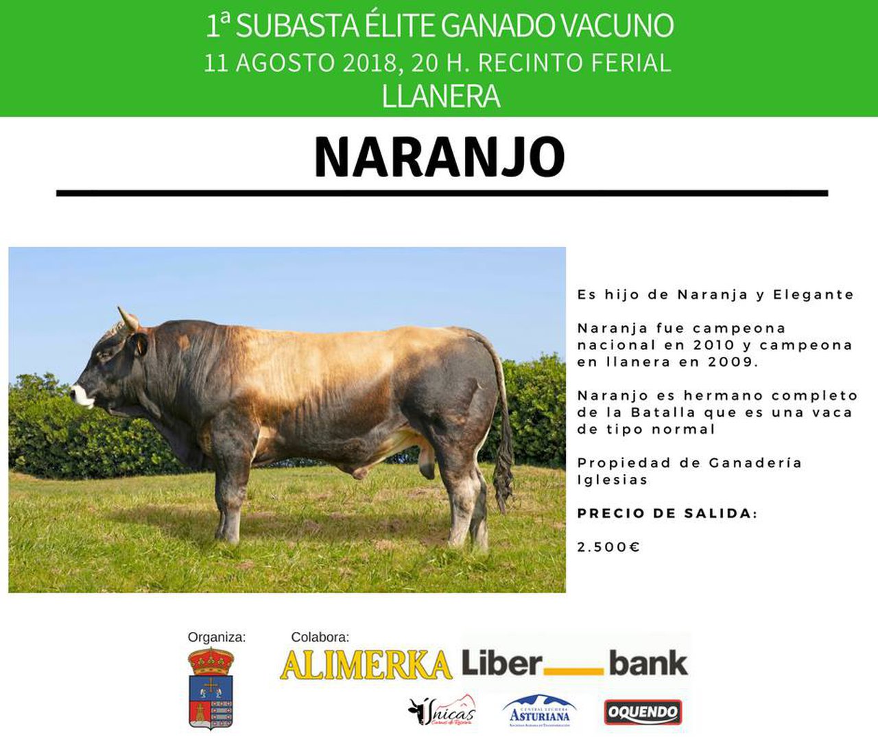 Outro dos touros que se poxará é Iglesias Elegante Naranjo