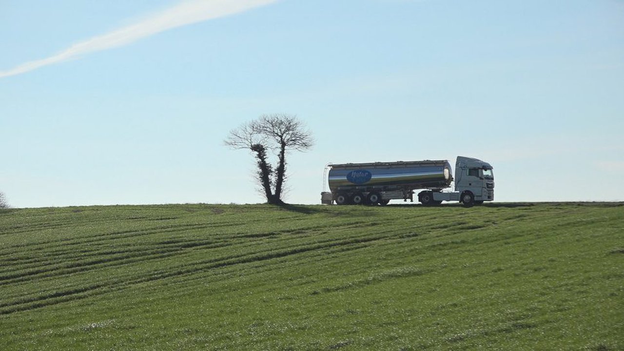 Os concellos máis gandeiros e as organizacións agrarias de Galicia instan á ministra de Transportes a que interveña ante o paro