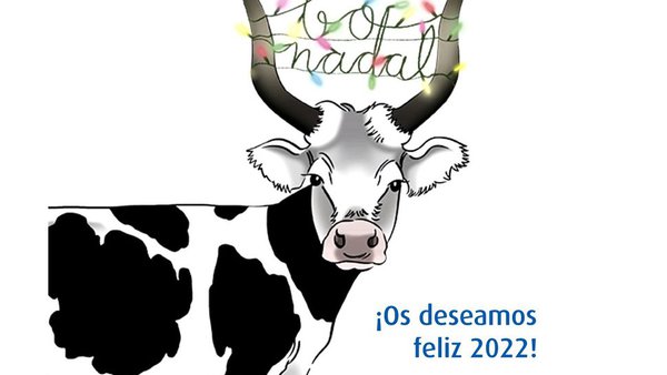 O equipo Transmedia deséxavos un bo Nadal