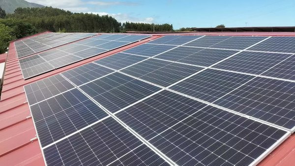 Nestlé reduce en más de 43.600 toneladas las emisiones de CO2 en las granjas proveedoras de leche