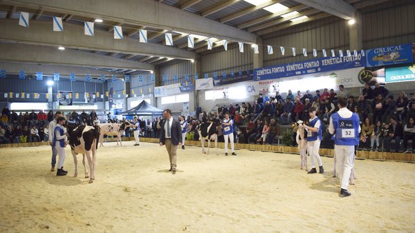 Los mejores manejadores y preparadores de los concursos de Santa Comba y Muimenta participarán en la Young Breeders School 2024