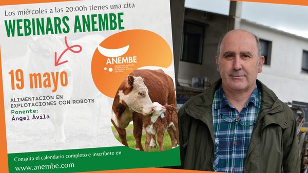 Ángel Ávila, próximo relator dos webinarios de Anembe