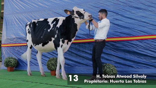H.Tobias Atwood Silvaly proclámase gran campiona de xovencas en Dos Torres