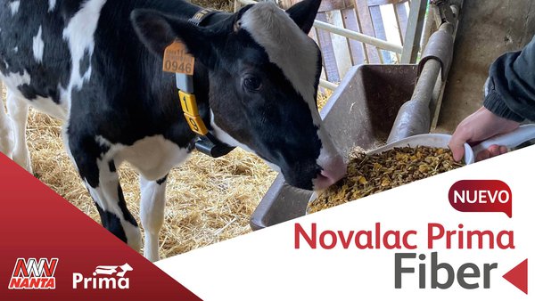 Nanta presenta Novalac Prima Fiber, o seu novo starter texturizado para xatas lactantes