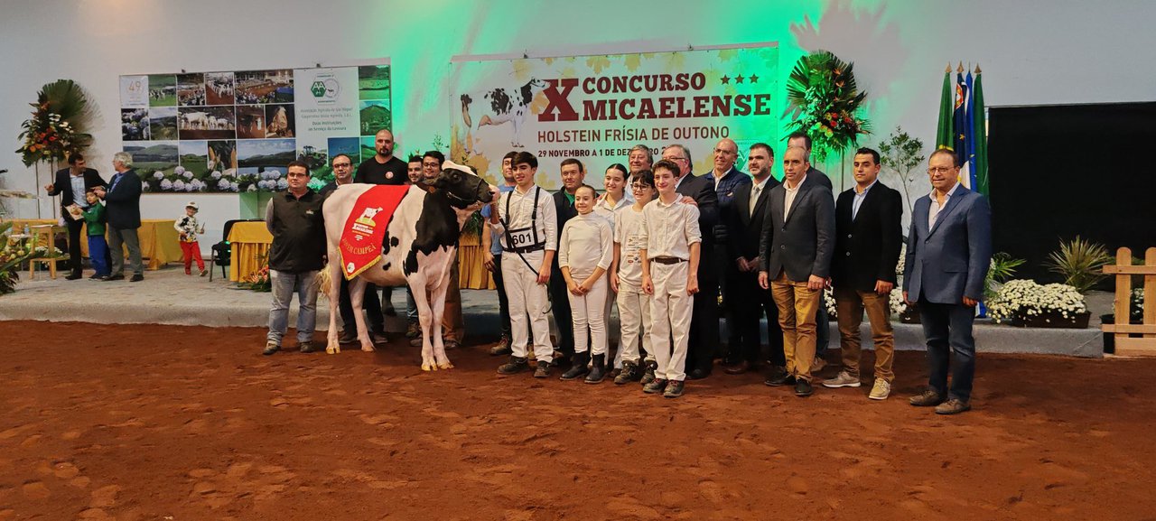 Melos Crushabull Andorinha se alza con el título de novilla gran campeona en el concurso de Azores