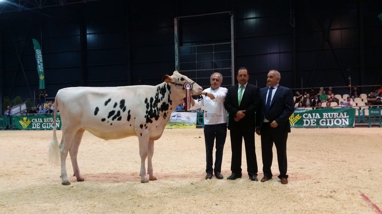 A xovenca campiona de Asturias chámase Badiola Solomon Kurkova