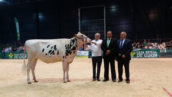 A xovenca campiona de Asturias chámase Badiola Solomon Kurkova