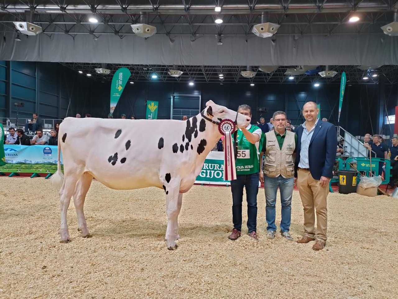 A gañadora do campionato de xovencas foi Badiola Denver Megamay