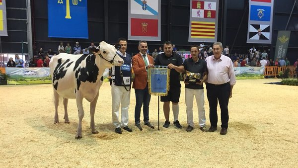 Comas Novas Princes Delta acábase de proclamar xovenca gran campiona