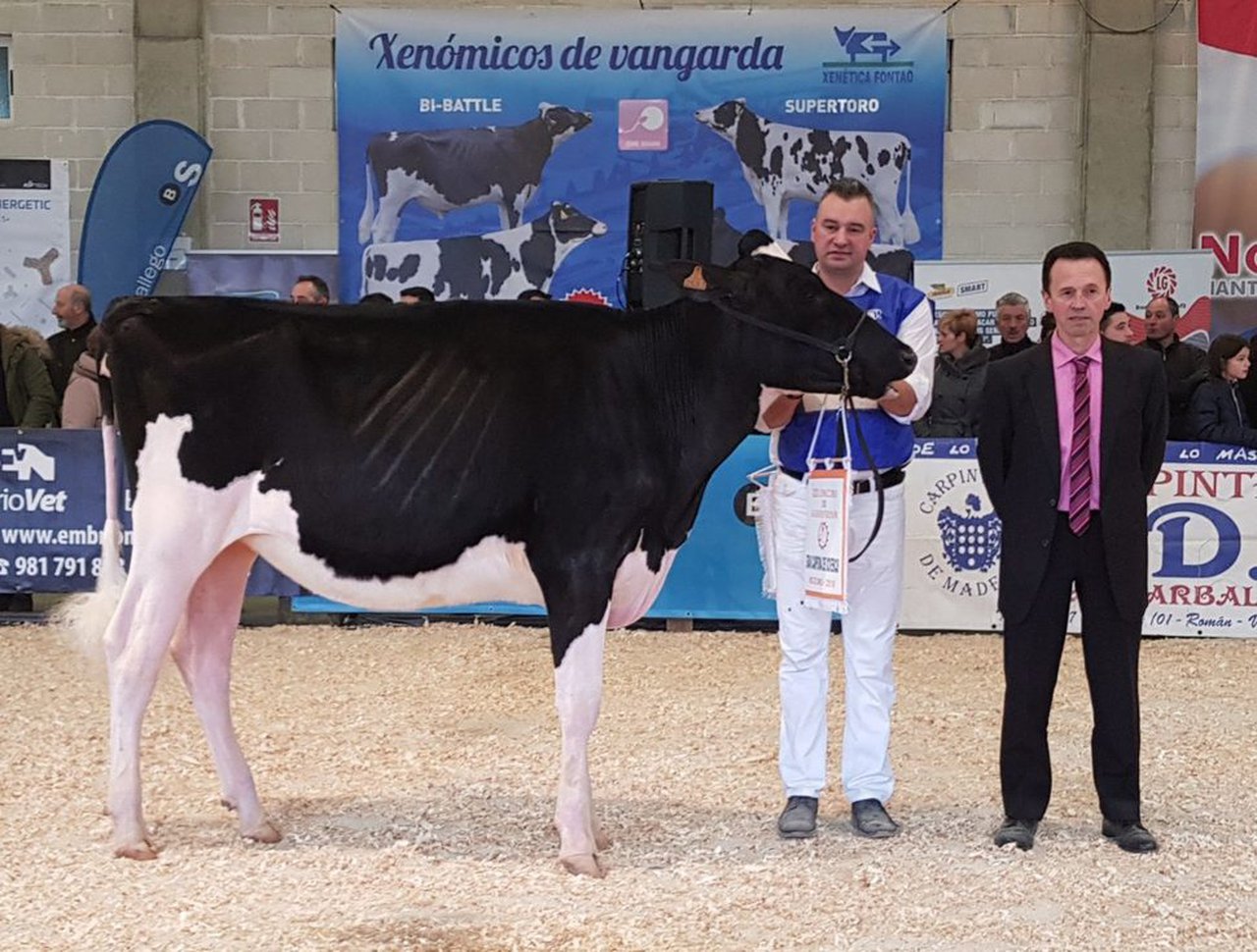 Vistahermosa Doorman Fani ET proclámase xovenca gran campiona de Muimenta