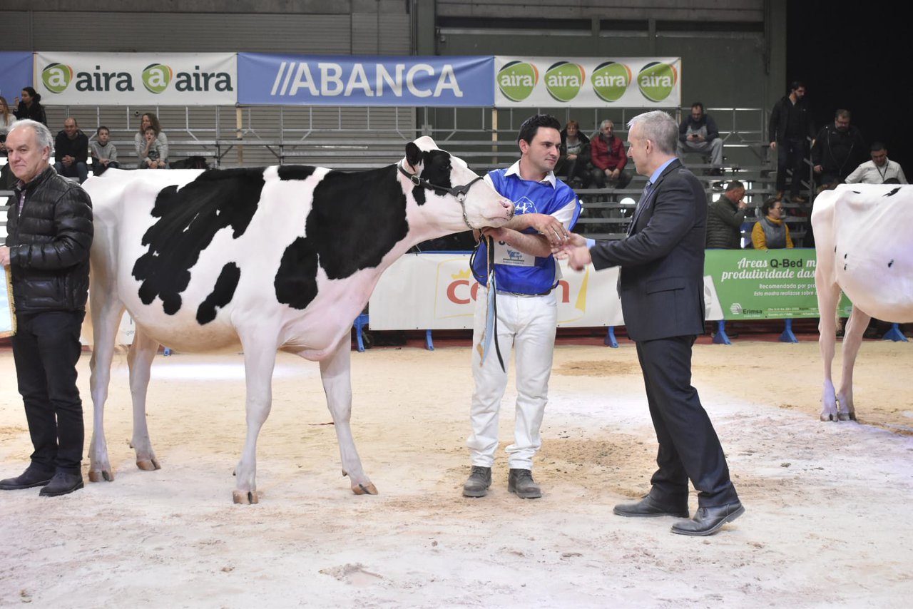 Venturo Thunder Storm Almira lévase o premio de xovenca gran campiona de GandAgro 2023