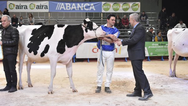 Venturo Thunder Storm Almira lévase o premio de xovenca gran campiona de GandAgro 2023