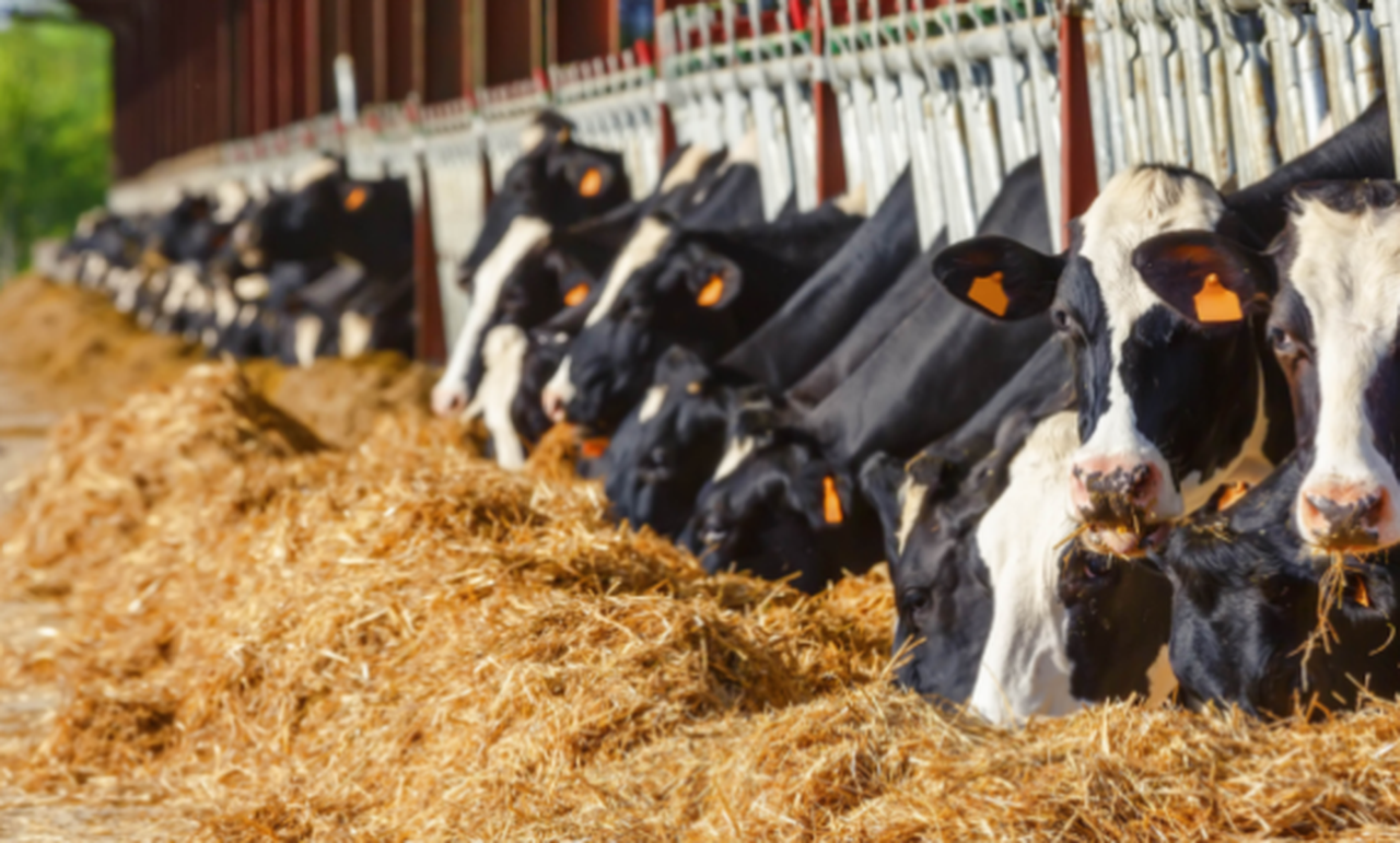 La contratación de seguros agrarios en España marca un nuevo máximo en 2025