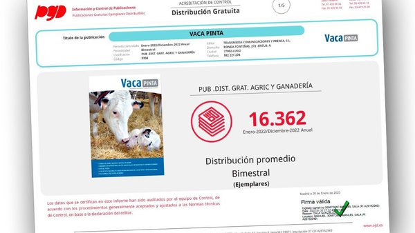 A tiraxe anual de Vaca Pinta, certificada por quinto ano consecutivo