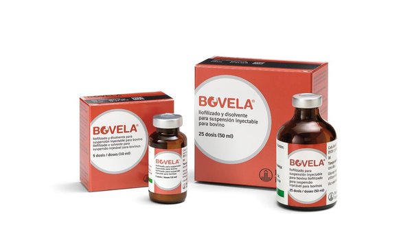 Bovela® consolídase como líder ante o BVD