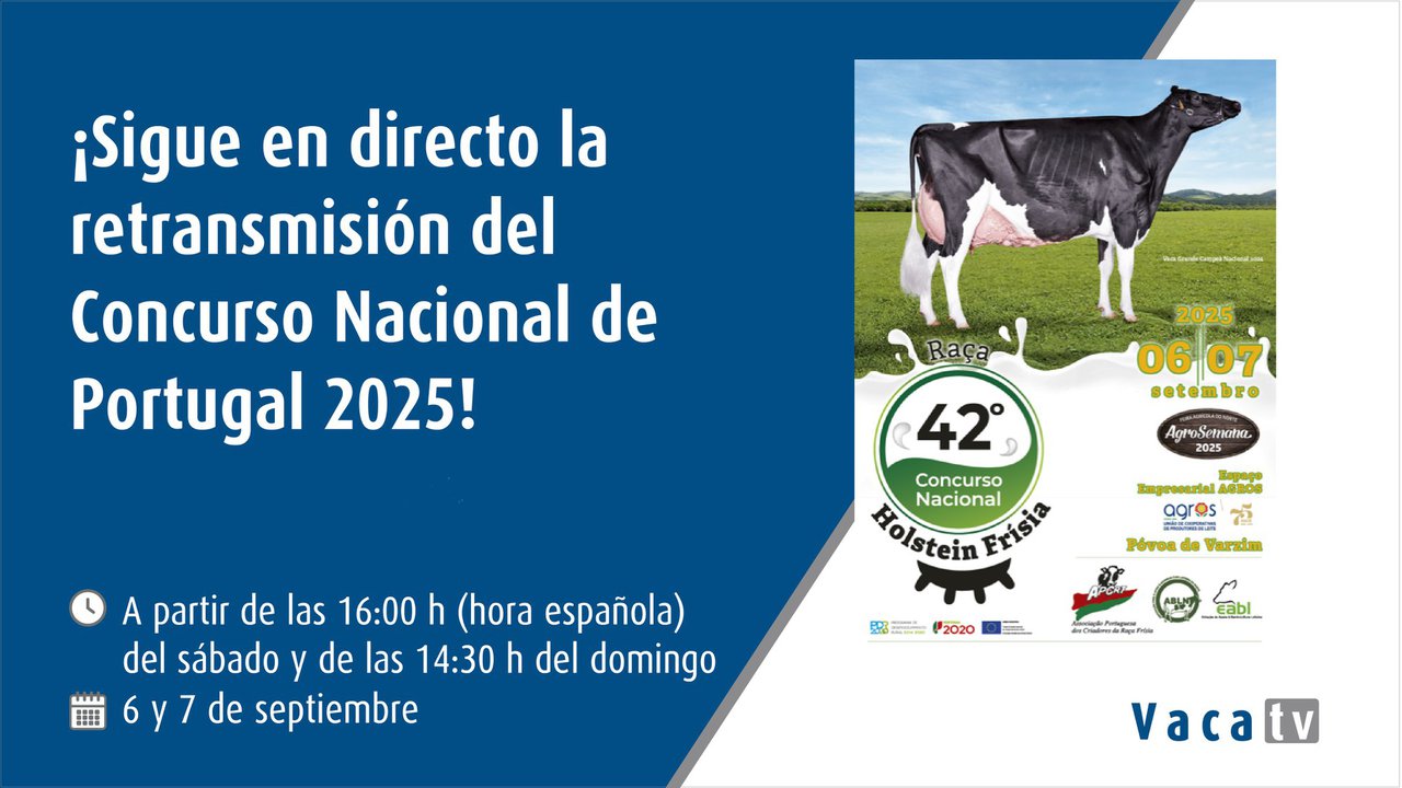 El Concurso Nacional de Portugal, en directo con Vaca TV