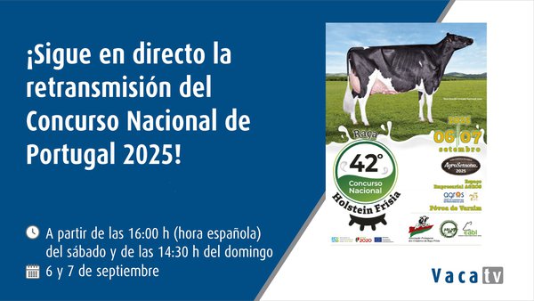 O Concurso Nacional de Portugal, en directo con Vaca TV
