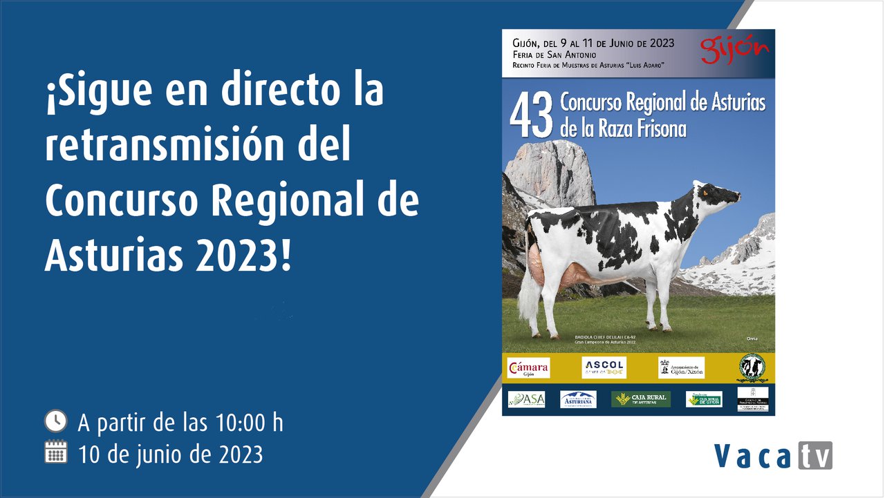 Vaca Pinta, en directo desde o Concurso Rexional de Asturias 2023