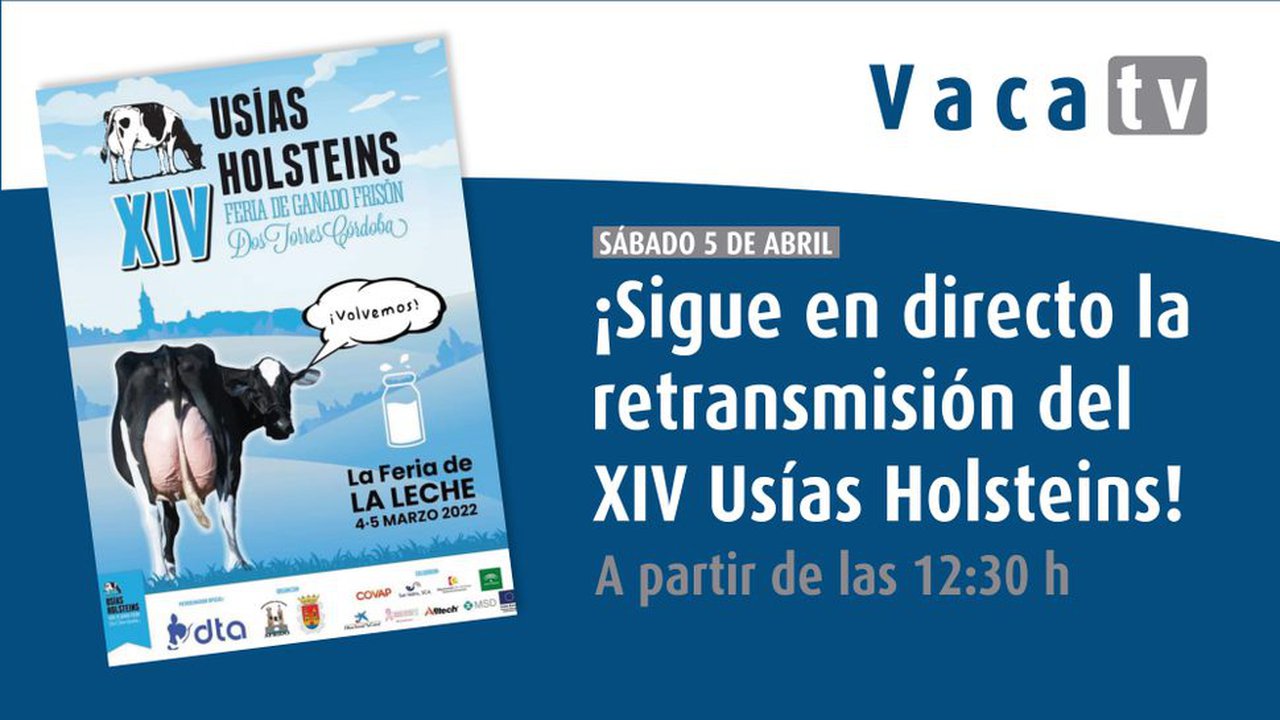 O 14º Concurso Usías Holsteins, mañá en directo en Vaca Pinta