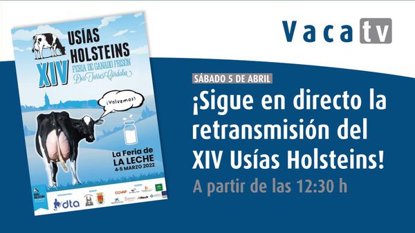 O 14º Concurso Usías Holsteins, mañá en directo en Vaca Pinta