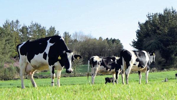Friol acoge una jornada sobre la huella de carbono en ganaderías de producción ecológica