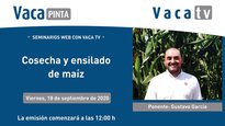 ¿Cuáles son los factores clave para realizar un buen ensilado?