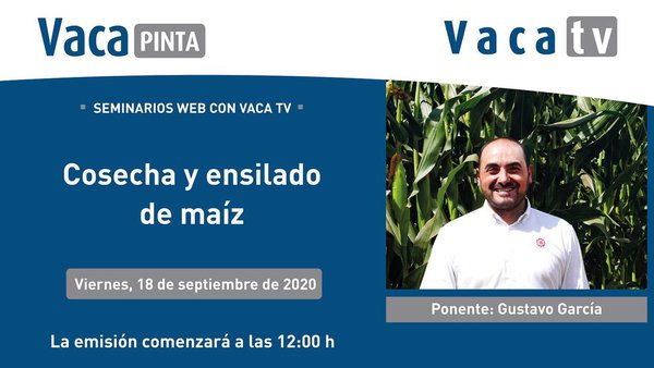Cales son os factores clave para realizar un bo ensilado?