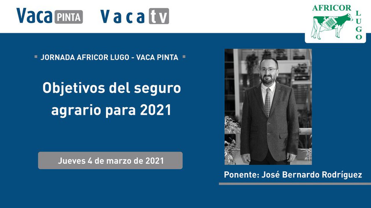 O relator: José Bernardo (Agroseguro)