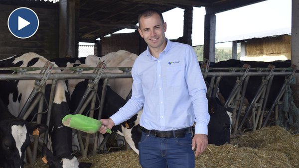 Prelacto®, o plan dirixido ao período seco para optimizar a transición entre lactacións