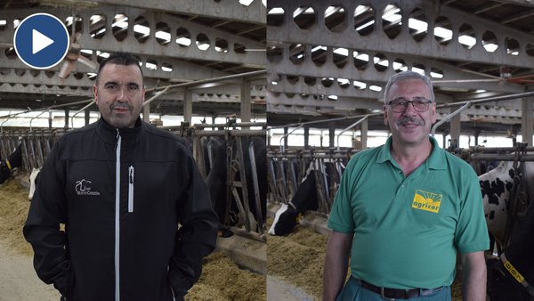 “Con este sistema de ventilación non notamos baixadas na produción nin na fertilidade durante os períodos de calor”