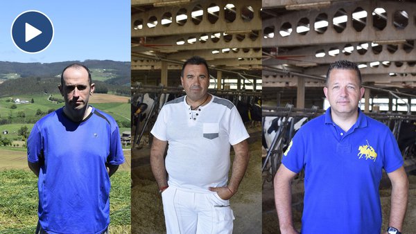 Mesturas Fertiprado, calidade con redución de custos