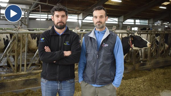 Toda unha gama de aplicacións para optimizar o rendemento das granxas con robot