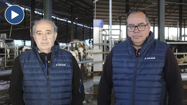 A robotización mellora o benestar animal en Los Ruedos