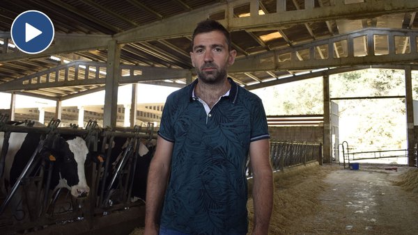 "Conseguir tratar menos vacas de mamite con antimicrobianos, mellorar a taxa de preñez e que os animais se recuperen antes do posparto"