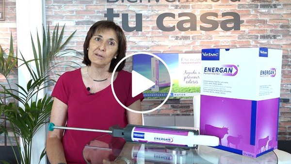 Energan Pansenstarter, o reconstituínte en pasta oral de Virbac para restablecer a función ruminal