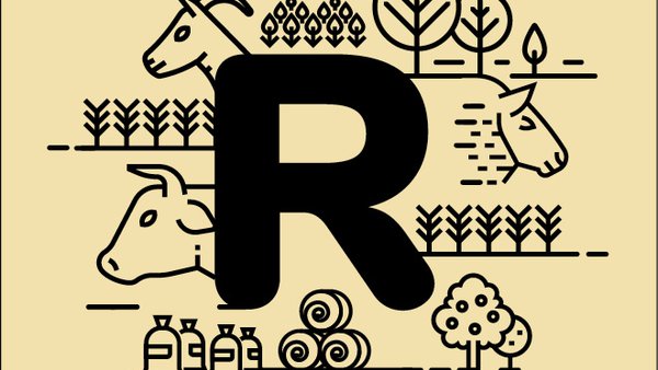 Iñaki Espinosa pecha a a tempada de Rumiland