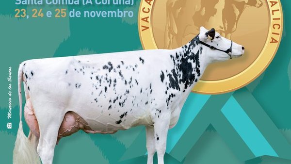 O libro do concurso frisón, xa dispoñible na nosa web!