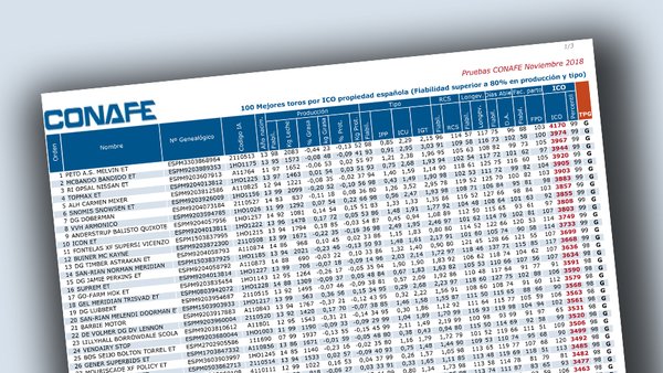 Publicada a lista dos mellores sementais españois por ICO