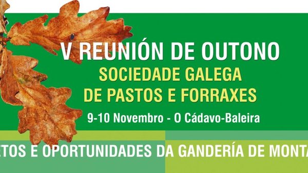 Quinta edición da Reunión de Outono da SGPF