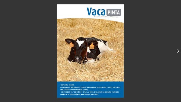 Xa dispoñible o sexto número de Vaca Pinta