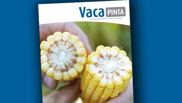 Actualizamos a nosa hemeroteca co número 9 de Vaca Pinta