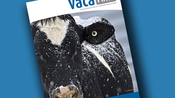 Publicada a edición en castelán de Vaca Pinta 7