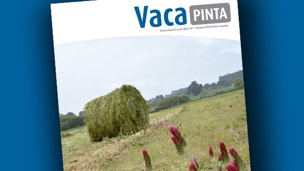 Vaca Pinta 15, ya disponible también en gallego