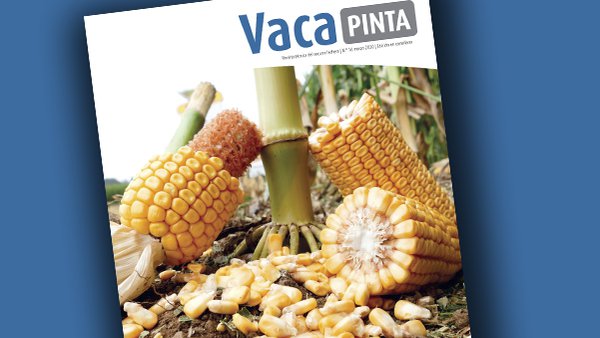 Vaca Pinta 16, tamén dispoñible en castelán